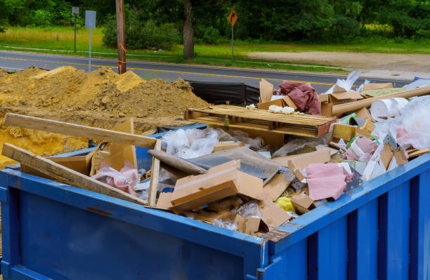 Best Shed Removal  in Borden, IN